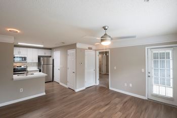 Living room and kitchen